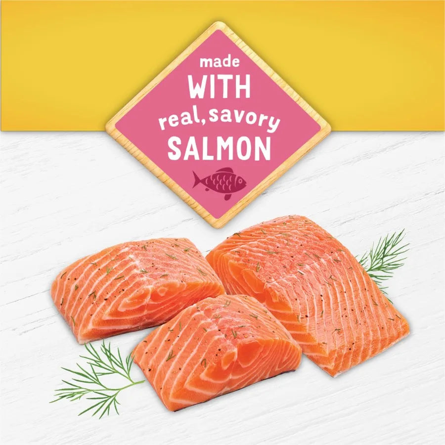 Purina Kitten Chow Healthy Development with Real Salmon Cat Food 14 lb Bag
