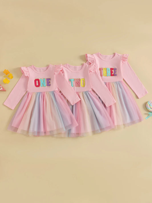 Cute Baby Girl Party Dress with Floral Embroidery Round Neck Long Sleeves Tulle Patchwork Princess Dress for Toddler s Birthday