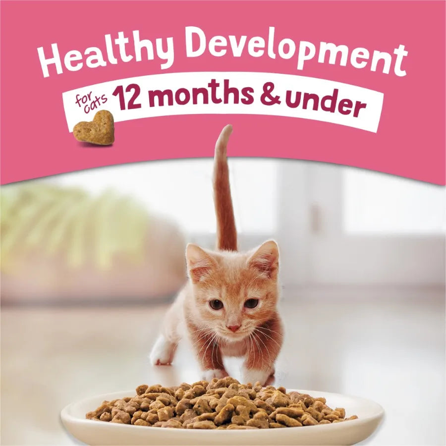 Purina Kitten Chow Healthy Development with Real Salmon Cat Food 14 lb Bag