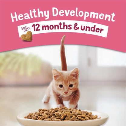 Purina Kitten Chow Healthy Development with Real Salmon Cat Food 14 lb Bag