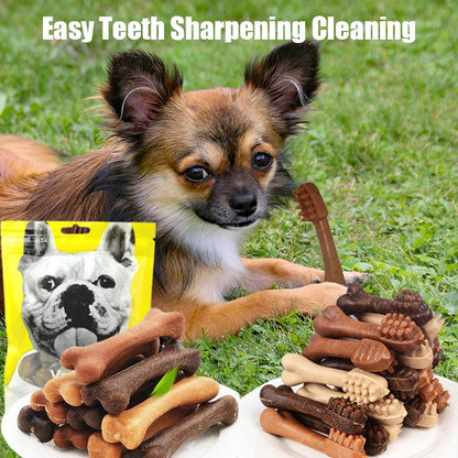 New Dog Bruxism Stick Toothbrush Bone Shape Fresh Natural Nutrition Healthy Adult Dogs Puppy Training Rewards Pet Food Snacks